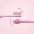 Ordo Sonic Kids Battery Toothbrush - Squishmallows: Variety