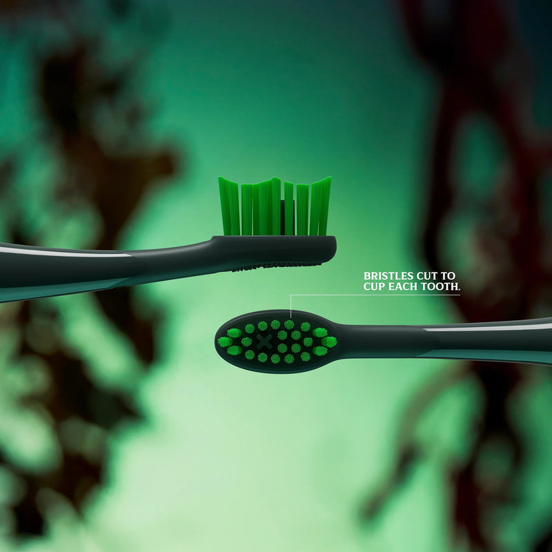 Ordo Sonic Lite E/Brush Rechargeable Toothbrush - Wicked - Elphaba Thropp