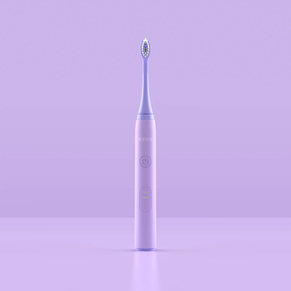 LavenderB_1200x.jpg?v=1729234117