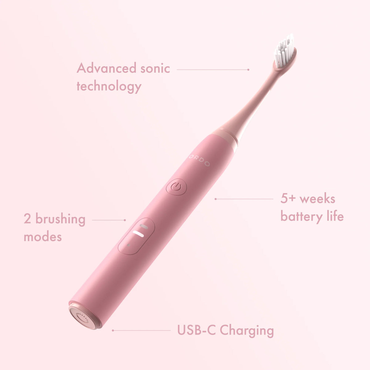 Petal_Brush_B_0062b620-2ea4-