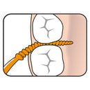 Toothpicks TePe EasyPick™ OrangeXS/S Blue M/L 36 & 1 Travel Case - Interdental Brush | SmileShop , EasyPick, Inter, Interdental, Pick, reddot, toothpick